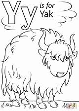 Letter Y Is For Yak coloring Page  Free Printable Coloring Pages sketch template