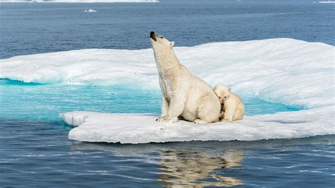 The changing face of our frozen worlds | BBC Earth