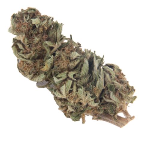 Blue Monster Strain Cannabis Seeds – Royal King Seeds - Feminized ...