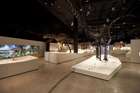 Rediscovering the Museum of Natural Science | Houstonia