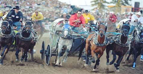 Stampede chuckwagon auction sees $3.28 million, best showing in 5 years ...