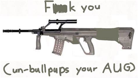 (Unbullpups your austrian steyr aug) : r/GunMemes