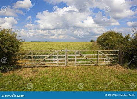 Wooden field gate stock photo. Image of england, fields - 95857580