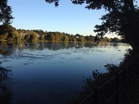 Roath park lake