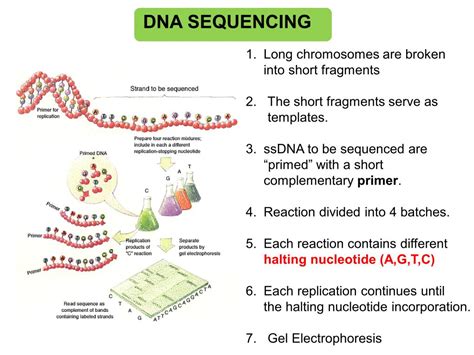 nanoHUB.org - Resources: [Illinois] Phys550 Lecture 25: Noise in Gene Expression and Sequencing ...