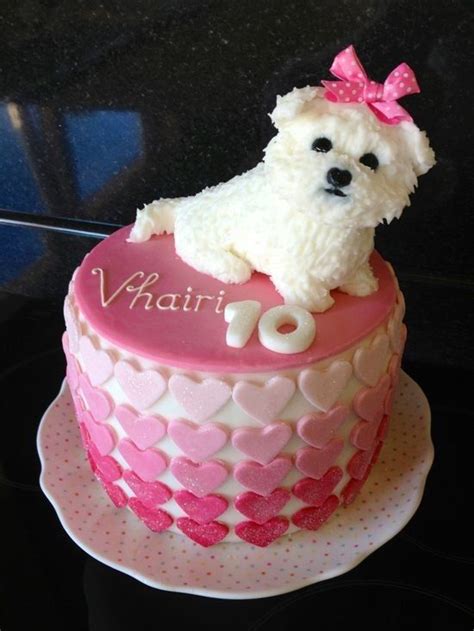 Cake & stuff — Follow Cake & Stuff for more baking and sweet... | Puppy birthday cakes, Dog ...