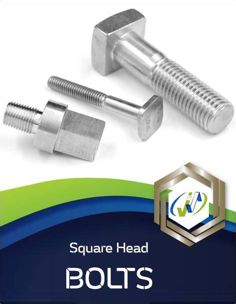 Square Head Bolt and 304/ 316 Stainless Steel Lag Bolts manufacturer