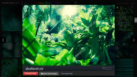 Encuentra contenido gráfico basado en el color: Shutterstock labs Spectrum
