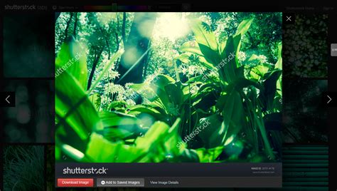 Encuentra contenido gráfico basado en el color: Shutterstock labs Spectrum