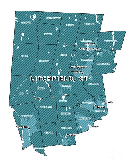 Connecticut_Litchfield_CountyVectorMap Digital Art by Frank Ramspott