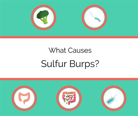 What are Sulfur Burps? Causes and Treatments - Drug Genius