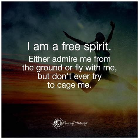 I am a free Spirit Either admire me from the ground or fly with me but ...