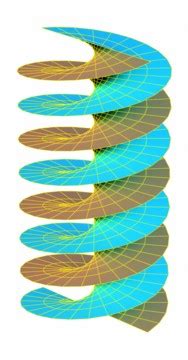 The Helicoid