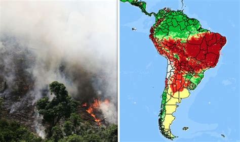 Amazon fires size: Rainforest fire covering half of Brazil seen from ...