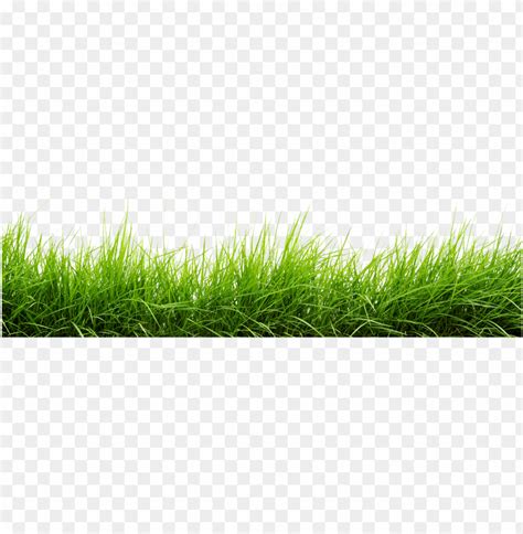 line of grass png image - grass png images hd PNG image with transparent background png - Free ...