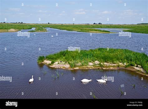 Welney wetland centre hi-res stock photography and images - Alamy