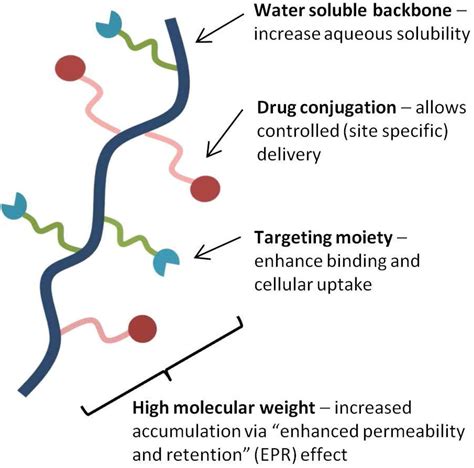 Polymer Drug Conjugation Service - Creative Biostructure