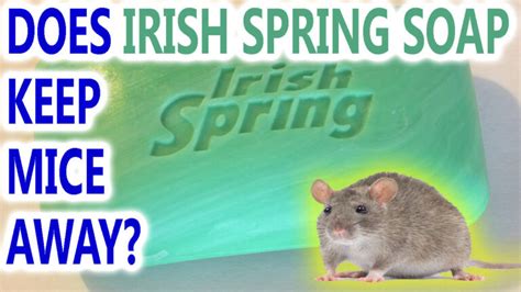 Does Irish Spring Soap Keep Mice Away?