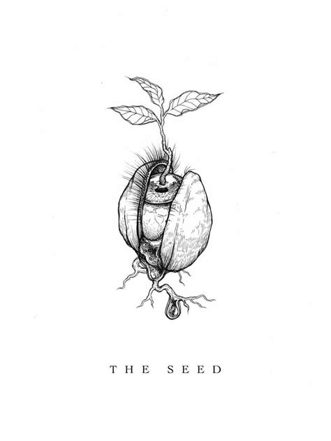 Print of Original Drawing the Seed - Etsy | Original drawing, Art sketchbook, Ink pen drawings