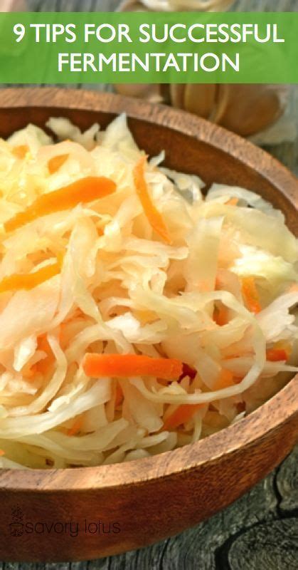 9 Tips for Successful Fermentation - Savory Lotus | Fermented veggies, Fermented foods benefits ...