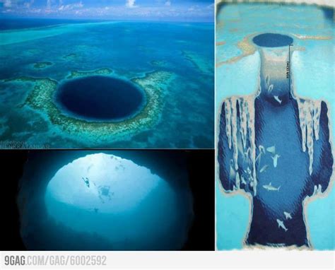 The Great Blue Hole | Great blue hole, Blue hole, Blue hole belize