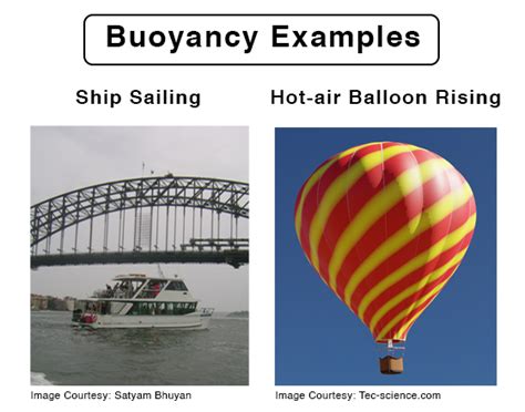 Buoyancy and Buoyant Force: Definition, Examples, and Formula