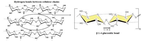 Molecular structure of a cellulose unit, showing the β 1-4 glucosidic... | Download Scientific ...