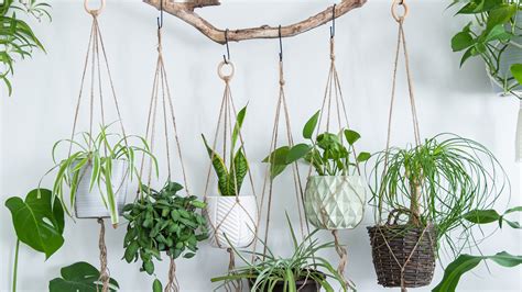 10 Stunning DIY Hanging Planters You Can Make To Liven Up Your Home