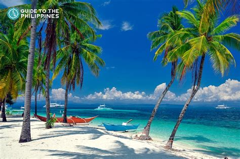 Malapascua Island Cebu Travel Guide: Swim with Thresher Sharks | Guide to the Philippines