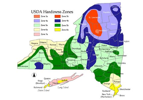 Hardiness zones for New York State