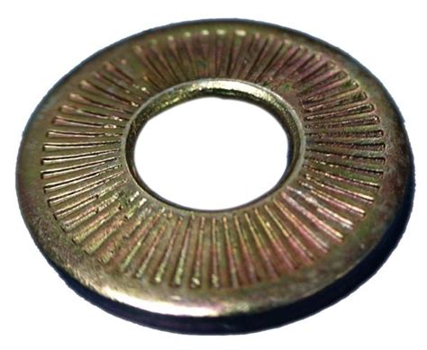 Polished Stainless Steel Serrated Washer, Spring India | ID: 4444965273