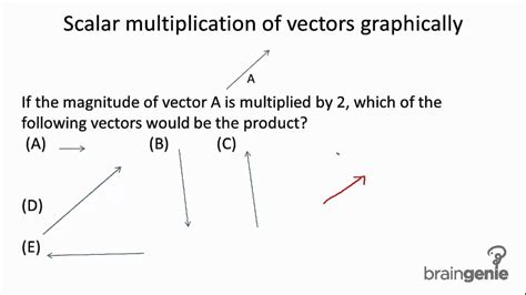 1.1.2.3 Scalar multiplication of vectors graphically - YouTube