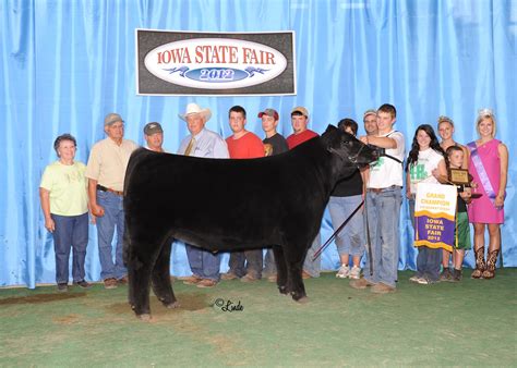 Lautner Farms: Iowa State Fair Winners sired by Phil Lautner Bulls