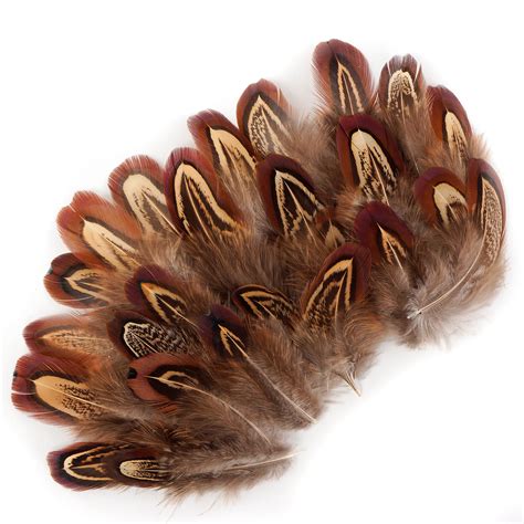 Pheasant Feathers Natural Almond Pheasant Plumage Loose - Etsy