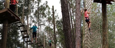 Orlando Tree Trek Adventure Park | Orlando, Florida's #1 Outdoor Ropes ...