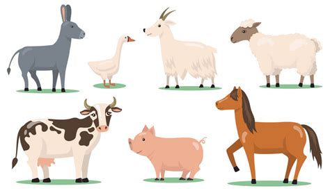 Various Animals And Pets On Farm Flat Clipart Set PNG Images | EPS Free Download - Pikbest