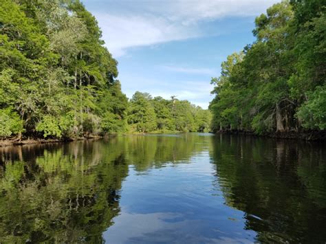 Slow Ride up the Withlacoochee River