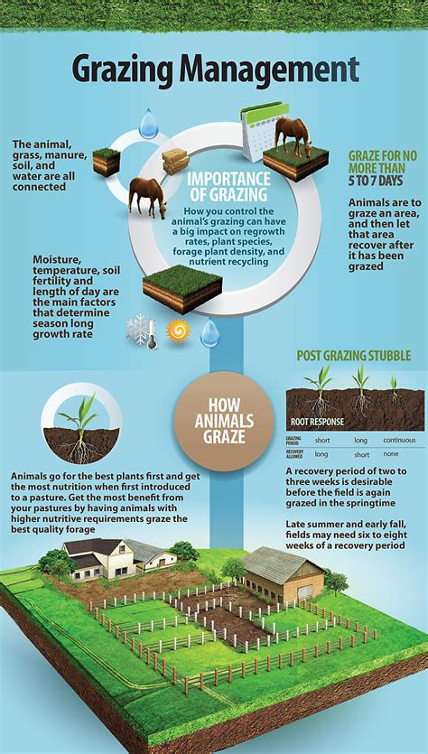 Learn the importance of grazing and how to manage grazing on your ...