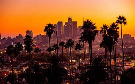 HD wallpaper: city, sunset, California, palm trees, los angeles, buildings | Wallpaper Flare