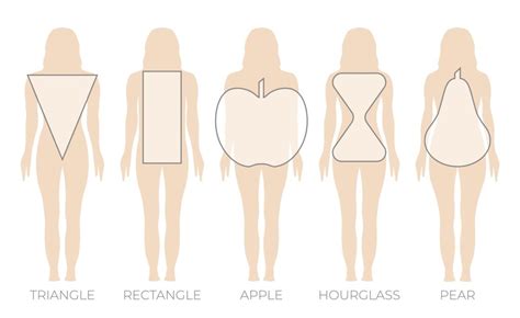 Female Body Types Chart: Complete Guide on Women Body Types - Salameh ...