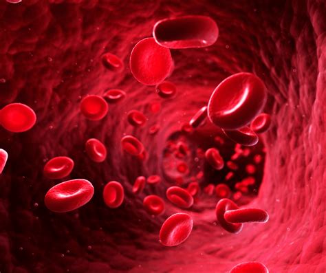 Blood Symbolism Meanings: A Comprehensive Interpretive Guide