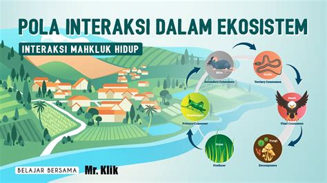 POLA INTERAKSI DALAM EKOSISTEM - YouTube