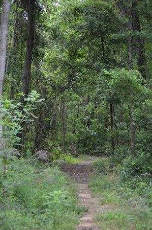 Santee National Wildlife Refuge (Summerton) - 2019 All You Need to Know ...