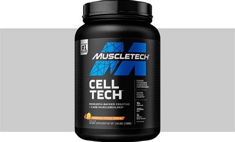 The Best Creatine Supplements of 2022 - Muscle Growth