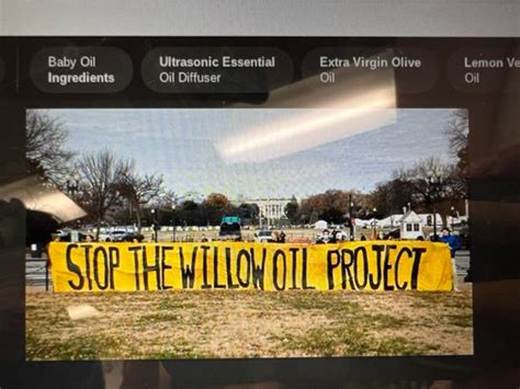 Stop the Willow Oil Project – PawPrint