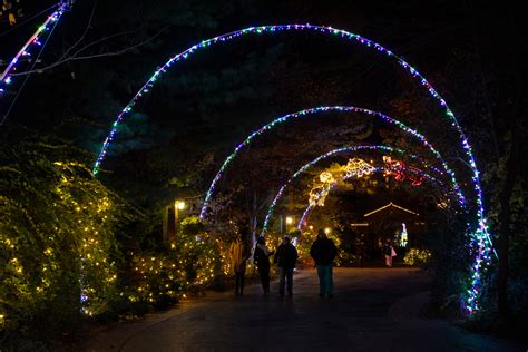 Bronx Zoo Holiday Lights to return for 2021 season | amNewYork