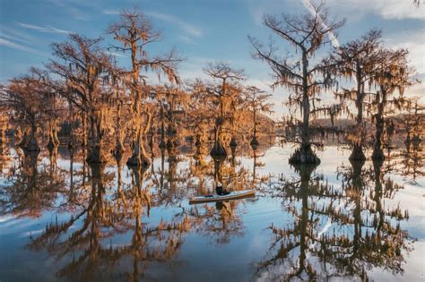 The Quick Guide to Caddo Lake in East Texas - Ready Set Jet Set