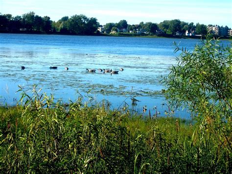 THE 10 BEST Things to Do in Laval (Updated 2024) - Tripadvisor