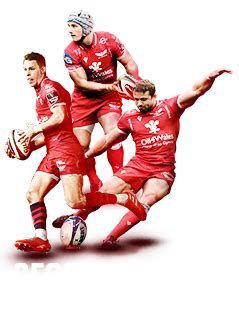 Official Website - Scarlets Rugby