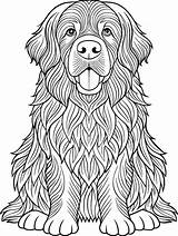 Coloring Page For Kids  Newfoundland Black And White Line Art sketch template